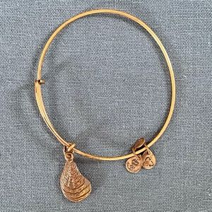 Alex and Ani +Energy Adjustable Oyster Charm Bracelet